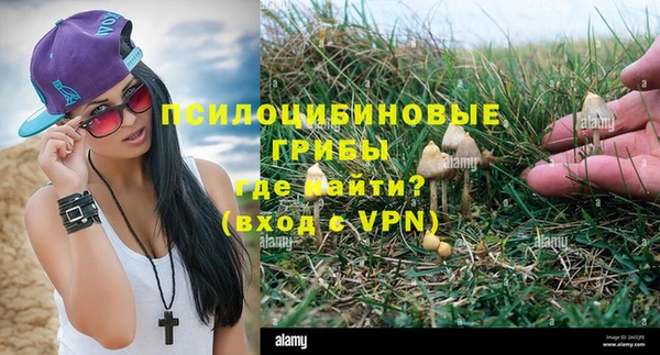 молекула духа Балабаново