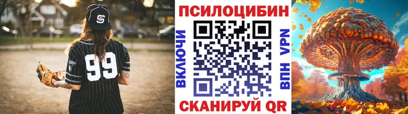 сколько стоит  Лебедянь  Псилоцибиновые грибы Magic Shrooms 